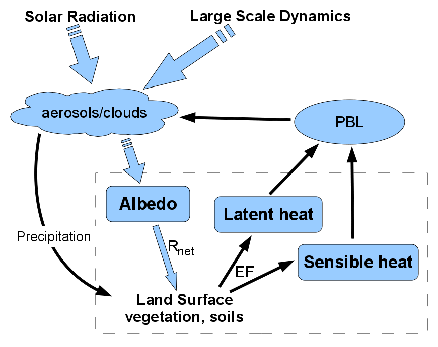 land-atmosphere interactions